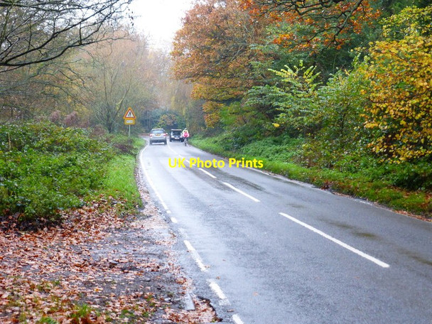 Photo 6"x4" Looking south on Philpot Lane Mimbridge c2014