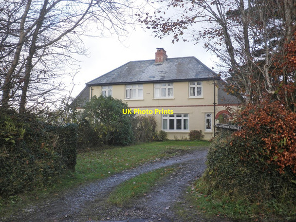 Photo 6"x4" Whitemoor Cottages Arlington\/SS6140 c2014