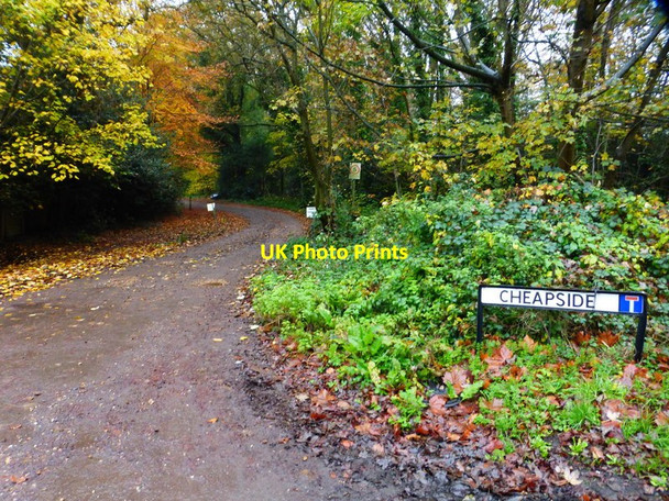 Photo 6"x4" The eastern end of Cheapside Woking c2014
