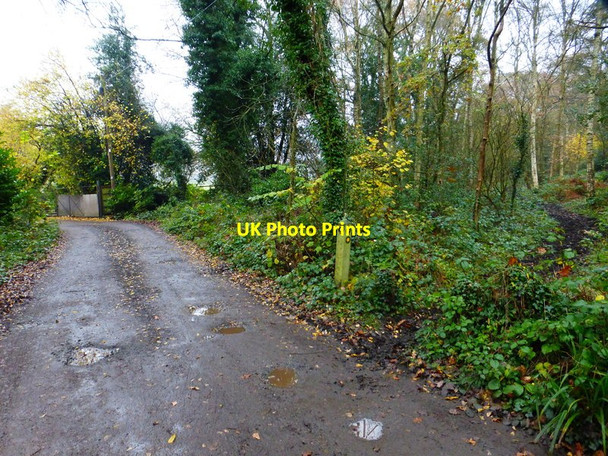 Photo 6"x4" Footpath junction west of Stonehill Road Stanners Hill c2014