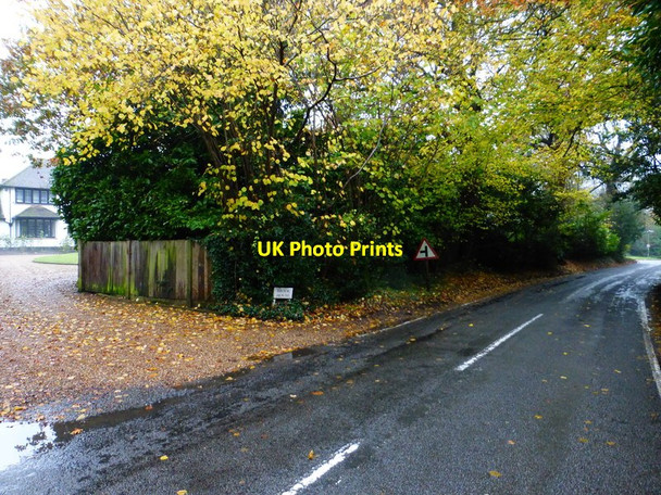 Photo 6"x4" Looking along Philpot Lane to the junction with Sandpit Hall Road Mimbridge c2014