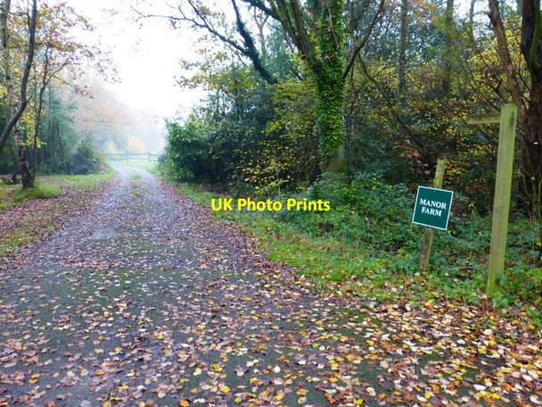 Photo 6"x4" Drive to Manor Farm carrying footpath Mimbridge c2014