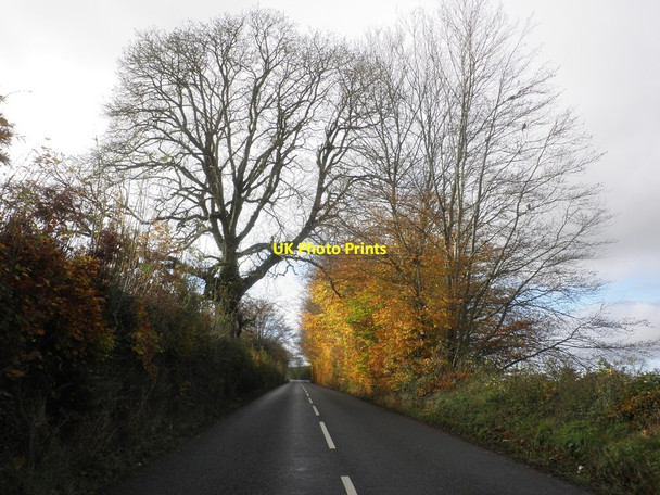 Photo 6"x4" The road to Barnstaple Barnstaple c2014