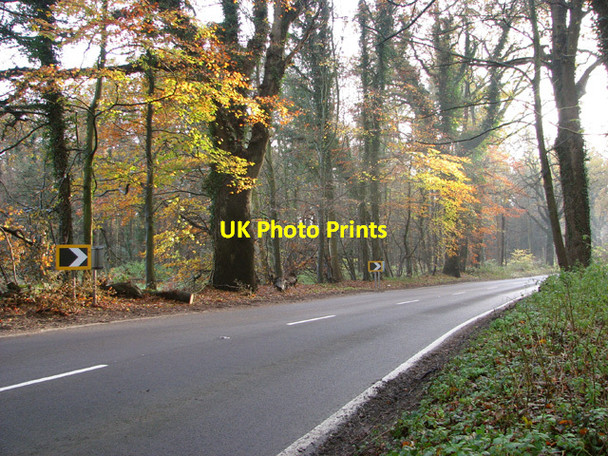 Photo 6"x4" On the edge of Sawmill Wood Weasenham All Saints c2014