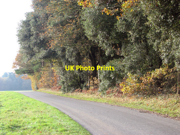 Photo 6"x4" Minor road past Sawmill Wood Rougham\/TF8320 c2014