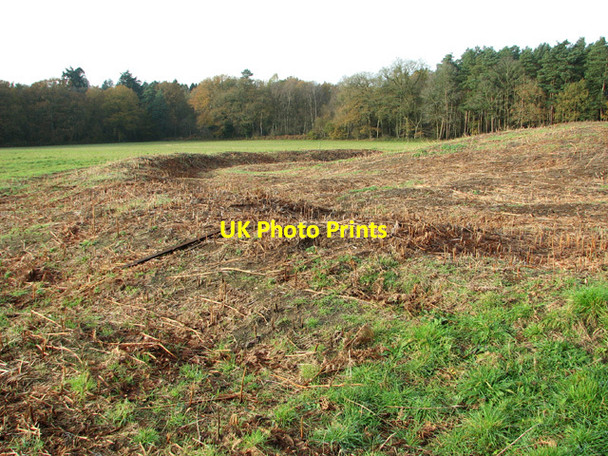 Photo 6"x4" The Great Barrow (Bronze Age bell barrow) Rougham\/TF8320 c2014