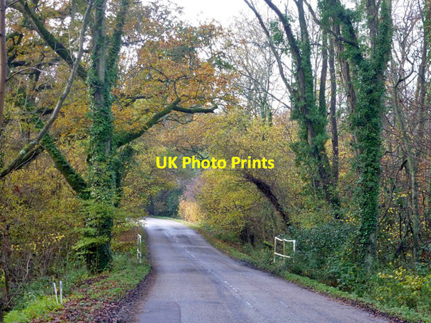 Photo 6"x4" Cowfold Lane Rotherwick c2014