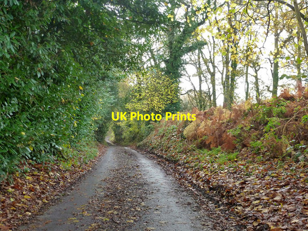 Photo 6"x4" Mill Lane Lyde Green\/SU7057 c2014