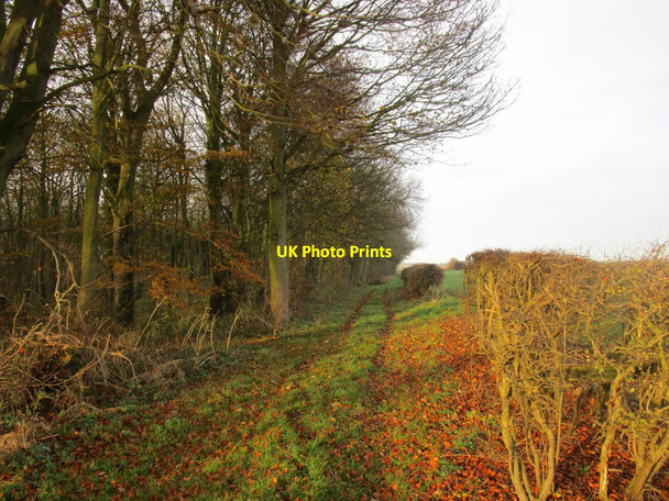 Photo 6"x4" Bridleway to Harpham Harpham c2014