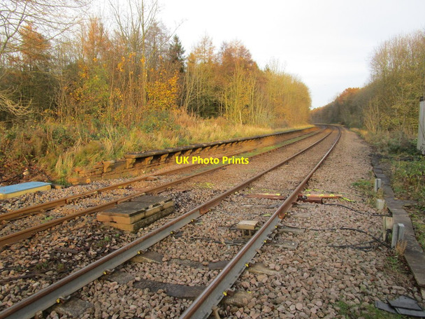 Photo 6"x4" Remains of Lowthorpe station Harpham c2014