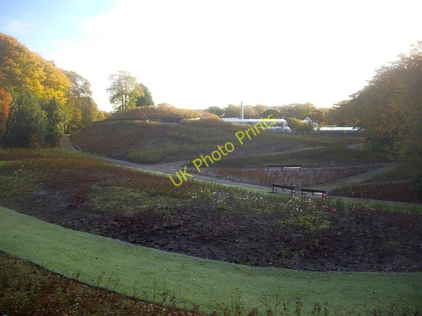 Photo 6"x4" The Rose Mountain, Duthie Park, Aberdeen Aberdeen\/NJ9206 c2008