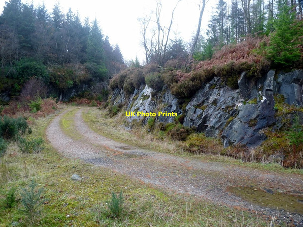 Photo 6"x4" Carrick Castle - Ardentinny road above Toll a' Bhuic Garelochhead c2014