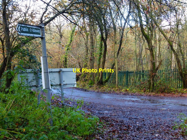 Photo 6"x4" Bridleway junction with Rye Grove Brook Place\/SU9561 c2014