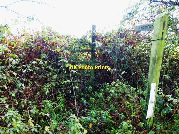 Photo 6"x4" Hopeless stile on Halebourne Lane Brook Place\/SU9561 c2014