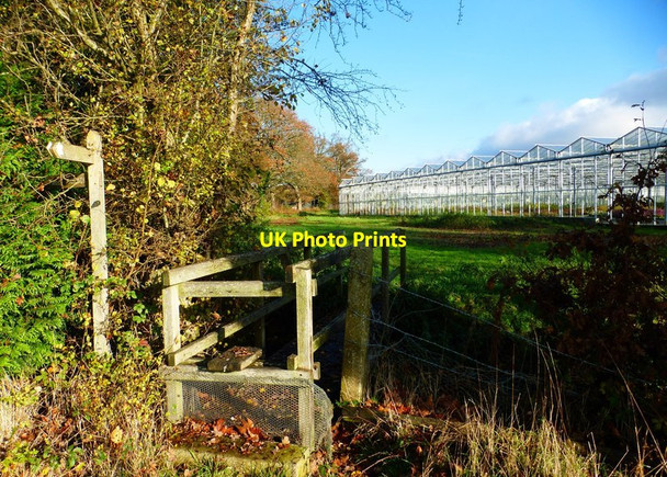 Photo 6"x4" Footbridge to nursery Brook Place\/SU9561 c2014