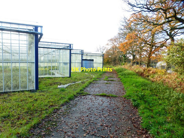 Photo 6"x4" Footpath by greenhouses Brook Place\/SU9561 c2014