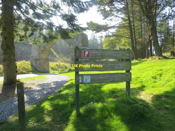 Photo 6"x4" Various Walks Cwmystwyth c2014