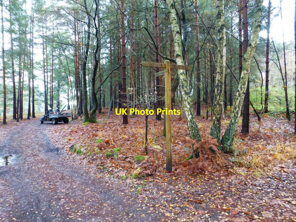 Photo 6"x4" Footpath junction on golf course Scotswood\/SU9466 c2014