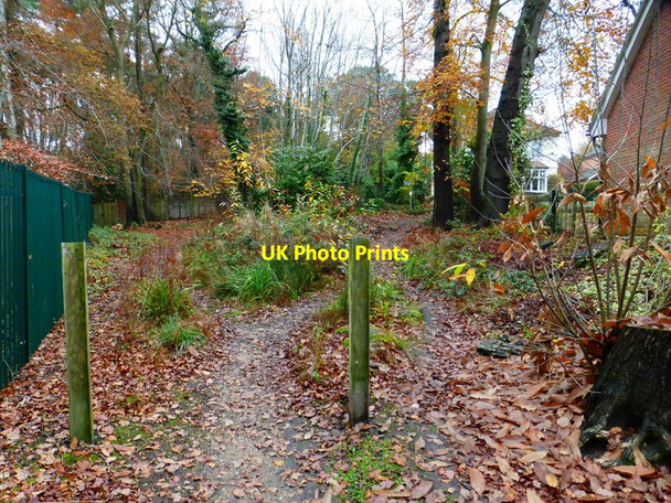 Photo 6"x4" Path junction near the north end of Kings Lane Hatton Hill\/SU9364 c2014