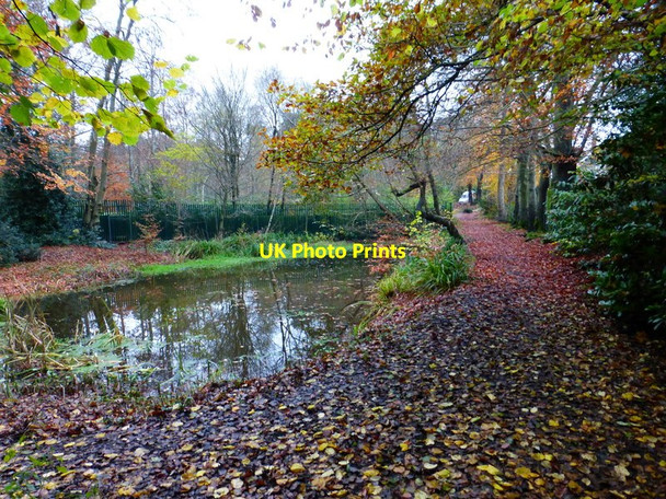 Photo 6"x4" Path beside pond behind housing Hatton Hill\/SU9364 c2014