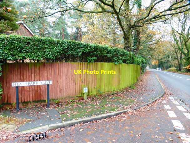 Photo 6"x4" Looking east on Woodlands Lane Windlesham c2014