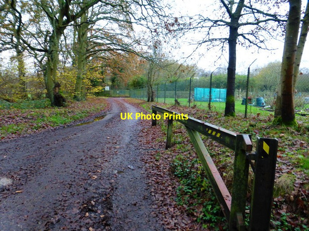Photo 6"x4" Track going westwards from Hook Mill Lane Brook Place\/SU9561 c2014