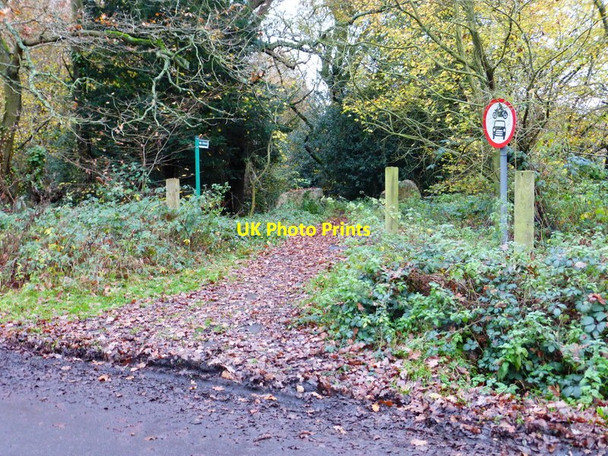 Photo 6"x4" The southern end of Scutley Lane Brook Place\/SU9561 c2014