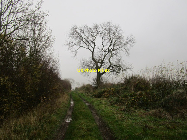 Photo 6"x4" Ley Lane Carlton-le-Moorland c2014 P1