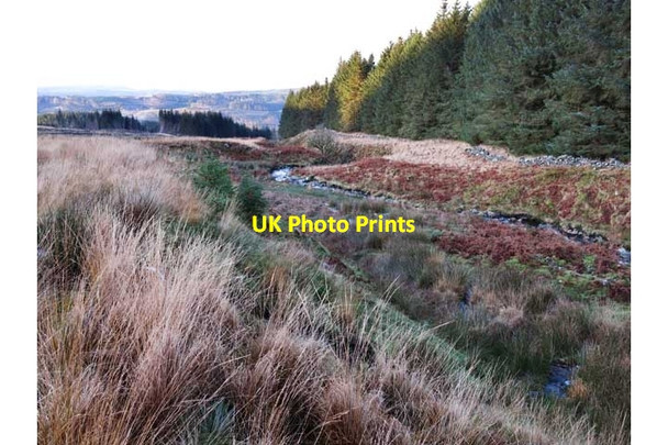 Photo 6"x4" Caldons Burn in Glentrool Forest Caldons Burn c2014