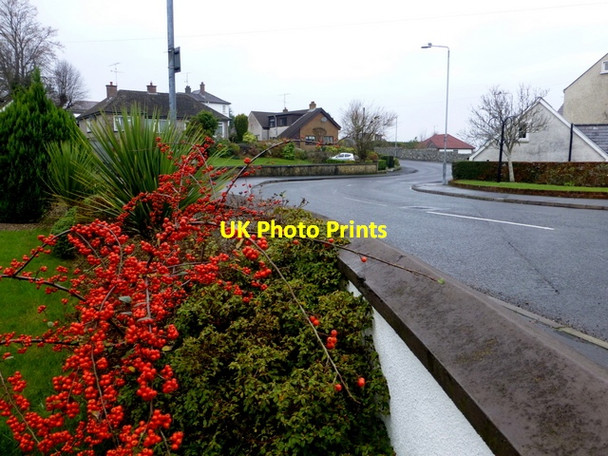 Photo 6"x4" Townview Avenue, Omagh Omagh c2014