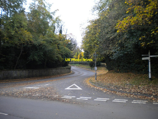 Photo 6"x4" North end of Bank Hill, Woodborough Woodborough\/SK6347 c2014