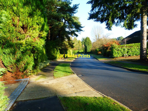 Photo 6"x4" Llanvair Drive looking towards the junction with Llanvair Close South Ascot c2014