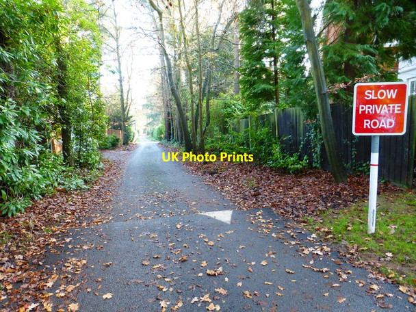 Photo 6"x4" Looking along Monks Walk South Ascot c2014