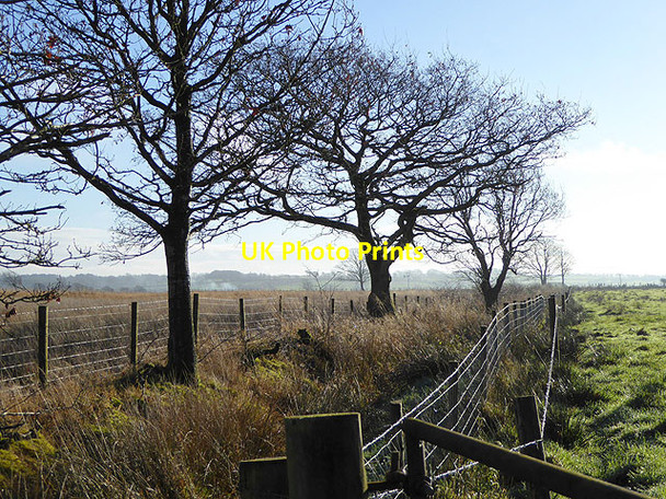 Photo 6"x4" Ditch and field boundary near Shankhill Boltonfellend c2014