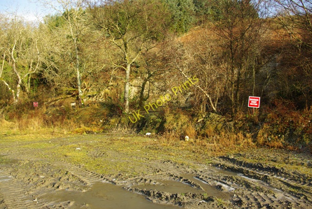 Photo 6"x4" Frozen ruts Builth Wells\/Llanfair-Ym-Muallt c2008
