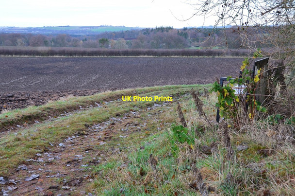 Photo 6"x4" Seat with a view, Temple Temple\/NT3158 c2014
