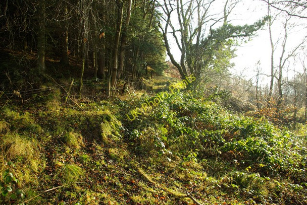 Photo 6"x4" Above the pool Builth Wells\/Llanfair-Ym-Muallt c2008