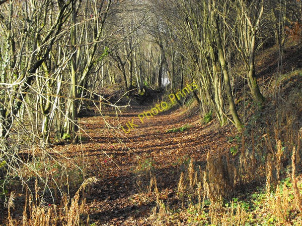 Photo 6"x4" Bridleway nears the quarry works Builth Wells\/Llanfair-Ym-Muallt c2008