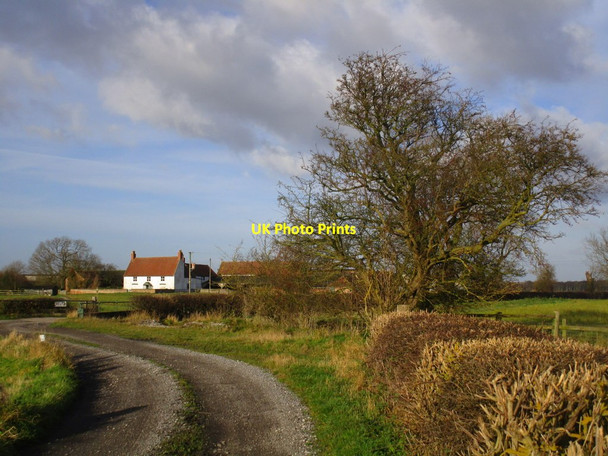 Photo 6"x4" Approaching South Carr Farm Newport\/SE8530 c2014