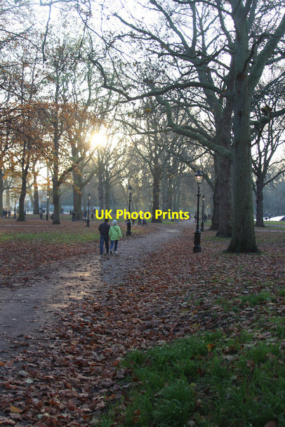 Photo 6"x4" Green Park Westminster c2014