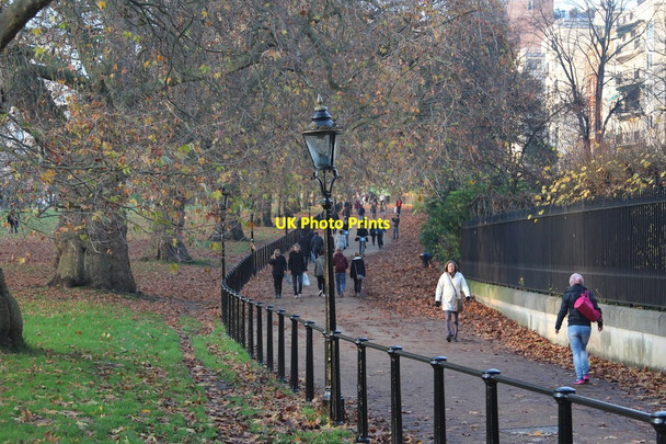 Photo 6"x4" Green Park Westminster c2014 P1