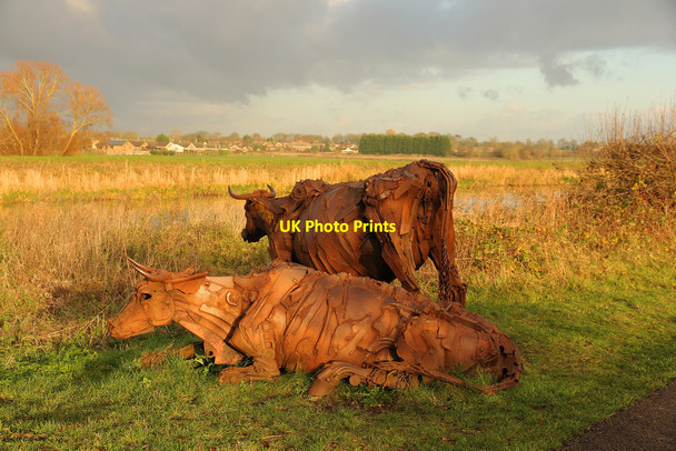 Photo 6"x4" Lincoln Reds Fiskerton\/TF0472 c2014