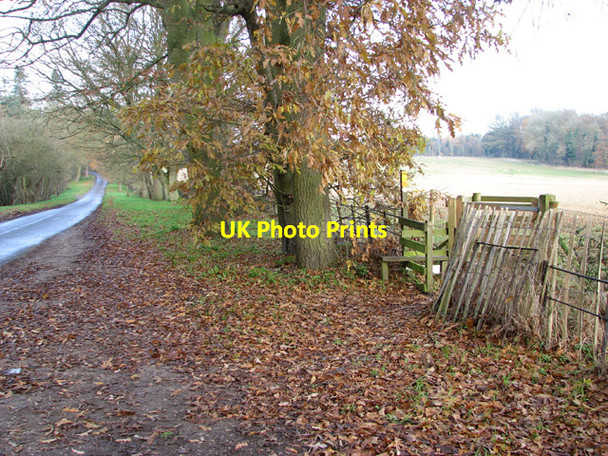 Photo 6"x4" Footpath off Intwood Lane Lower East Carleton c2014