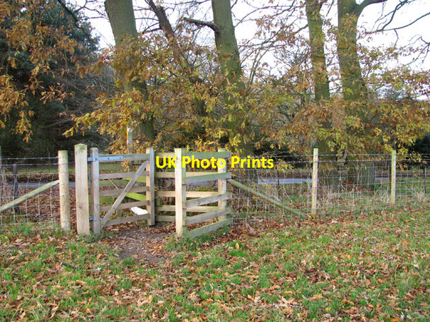 Photo 6"x4" Gate on footpath Lower East Carleton c2014