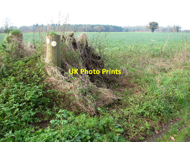 Photo 6"x4" Footpath markers East Carleton c2014