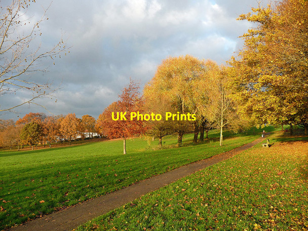 Photo 6"x4" Autumnal Norwood Park (1) Streatham c2014