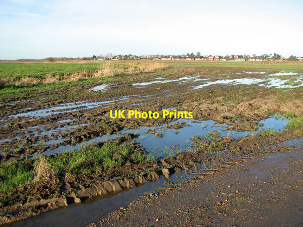 Photo 6"x4" Waterlogged fields south of Reedham Lower Thurlton c2014