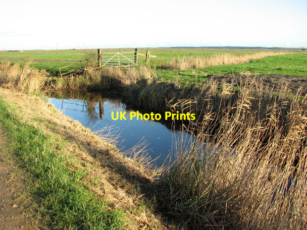 Photo 6"x4" Marsh pastures south of Reedham Lower Thurlton c2014