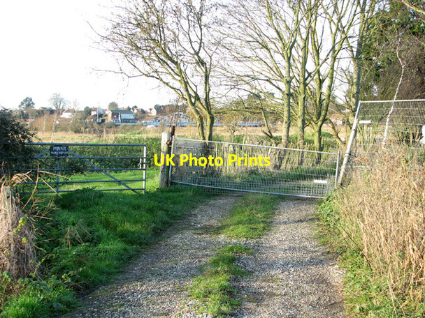 Photo 6"x4" The end of the track Reedham\/TG4201 c2014