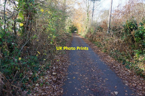 Photo 6"x4" Bridleway to Bovey Tracey Bovey Tracey c2014